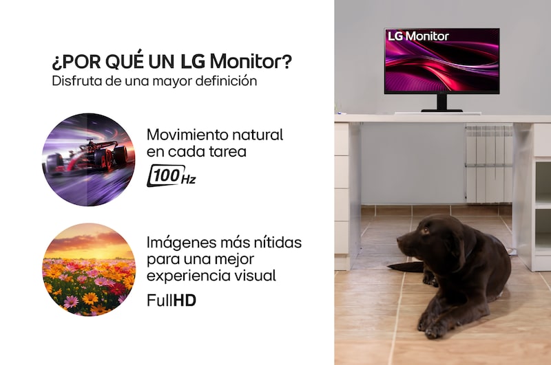 Monitor FHD - 22MR410-B